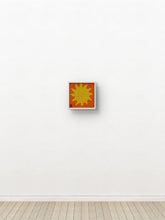 Load image into Gallery viewer, Pocket Pop Collection
